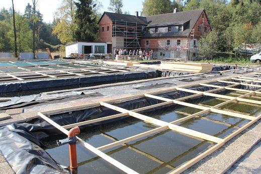 Einzelprojekt "Vom Wert der Flussperlmuschel für Mensch und Natur"