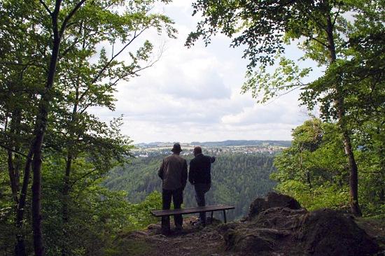 Einzelprojekt "Nachhaltiges Mobilitätskonzept für die Region Höllental und die Stadt Lichtenberg"